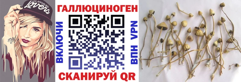 гидра ONION  Ревда  Псилоцибиновые грибы Psilocybe  где купить  