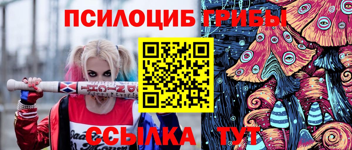 Галлюциногенные грибы GOLDEN TEACHER Ревда
