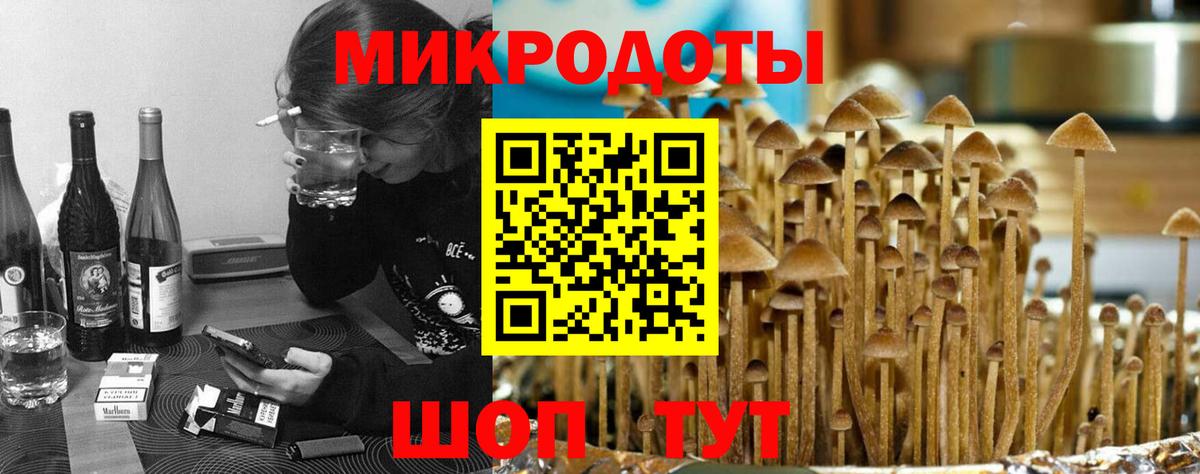 Псилоцибиновые грибы мицелий Ревда