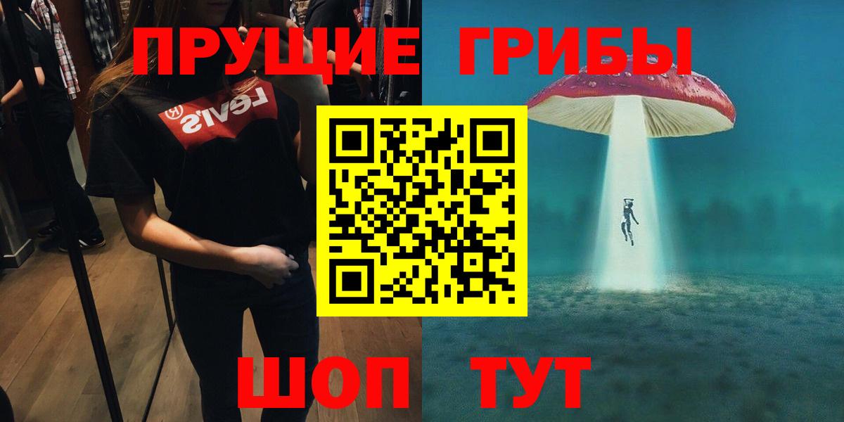 Галлюциногенные грибы Psilocybe  Ревда  Псилоцибиновые грибы GOLDEN TEACHER 